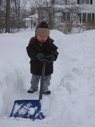 start training him early